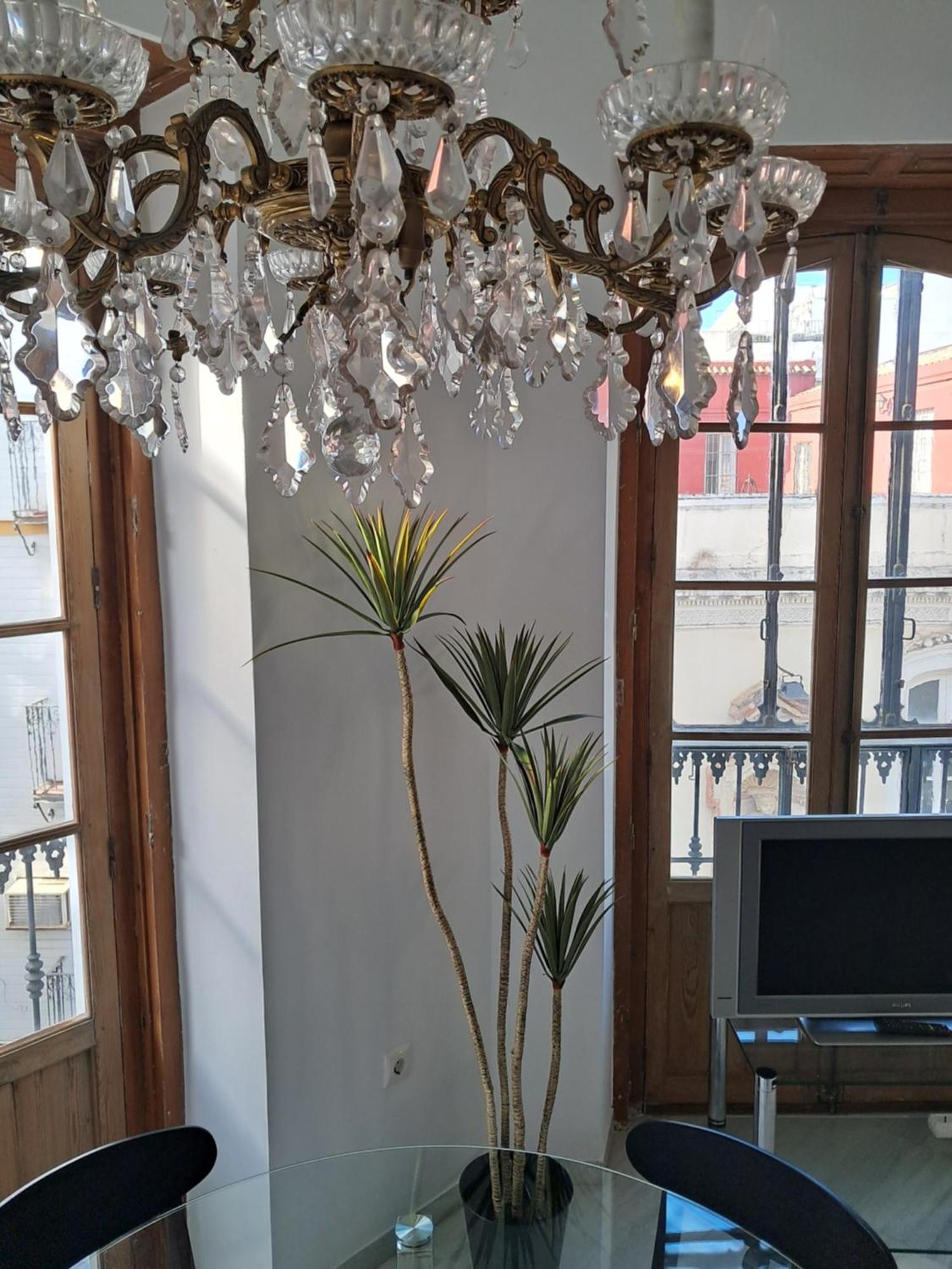 Apartamentos Almirante Hoyos Sevilla Eksteriør billede